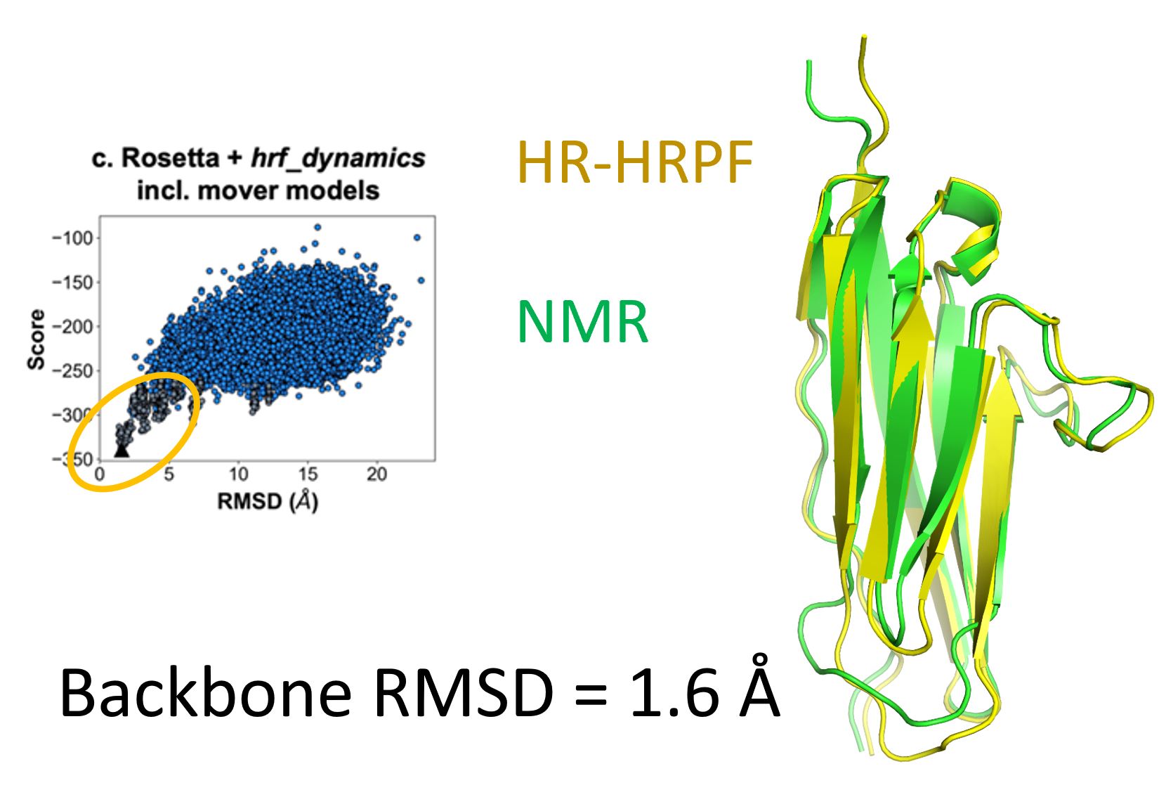 HRPF-informed model of NRG1 is identical to independently determined NMR structure