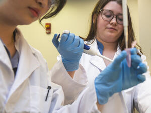Pipetting in lab