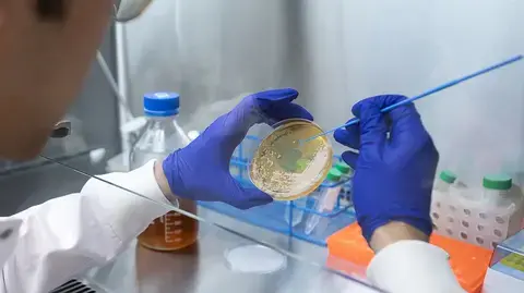 Microbial Based DDS