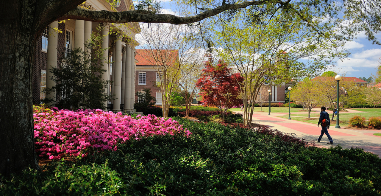 Landscaping on campus at the University of Mississippi