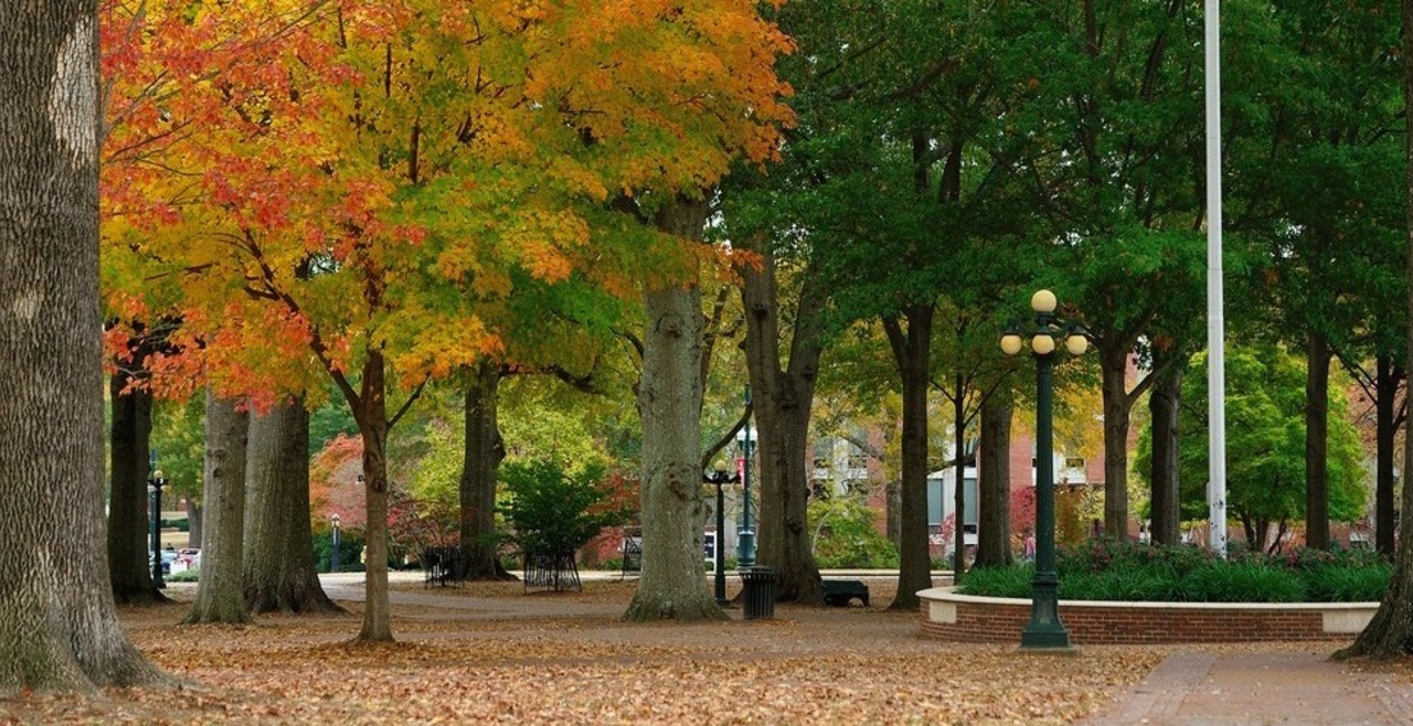 A picture in the Circle on campus at the University of Mississippi