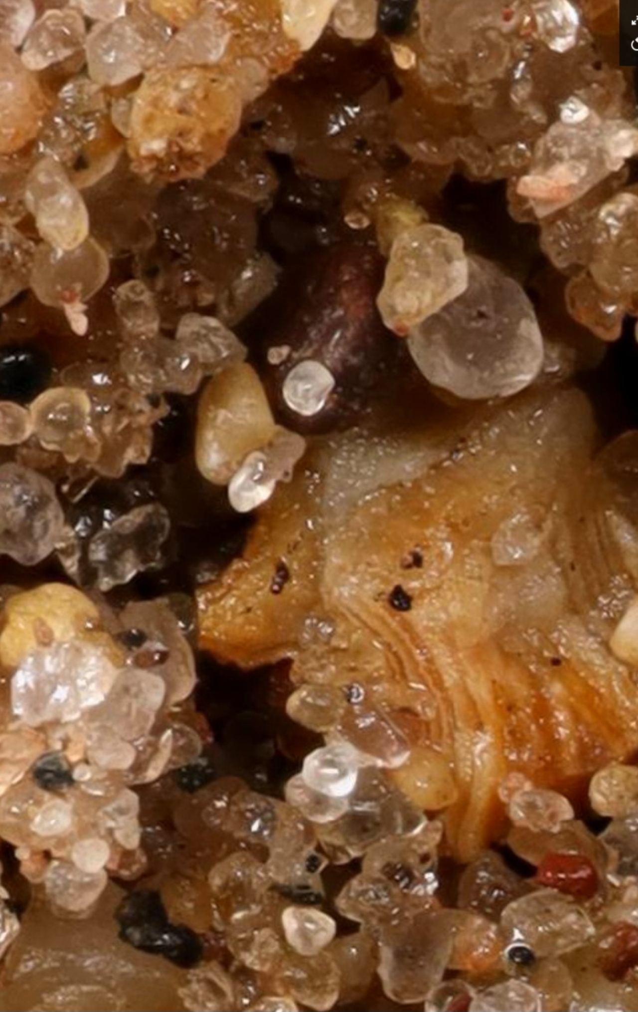 Failed to load, please refresh your browser