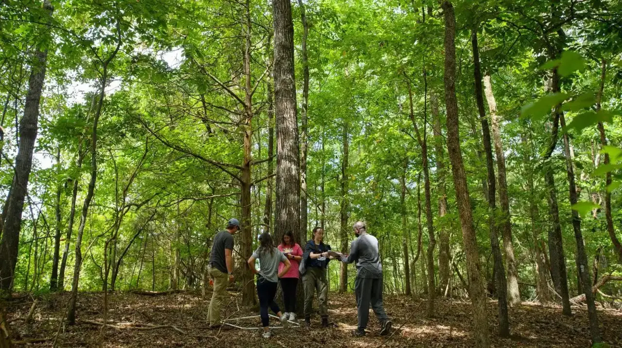 class in the woods