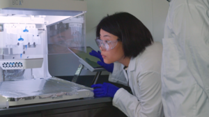 Lab