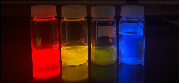 fluorescent image