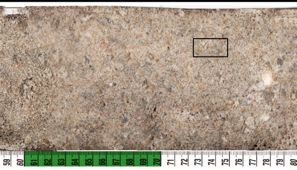 zoomed-in view of core