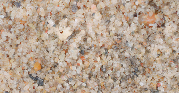 zoomed image of core