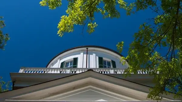 blue sky tree and architectural elements of the top of a building