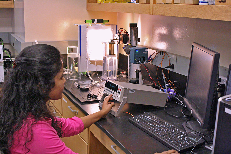 A student doing a physics experiment in a lab