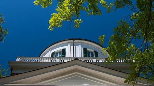 blue sky tree and architectural elements of the top of a building